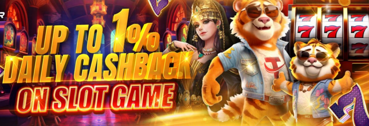 bdvip-এর দায়িত্বশীল সুরক্ষা ও ব্যবহারের দৃশ্য
